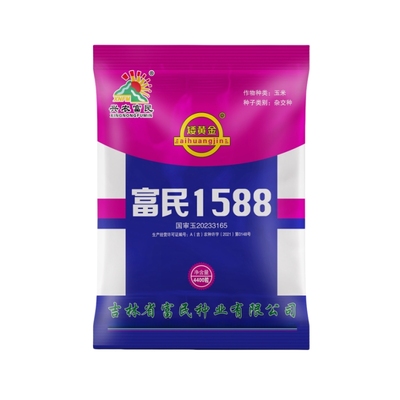 双国审矮杆大穗高产玉米种子