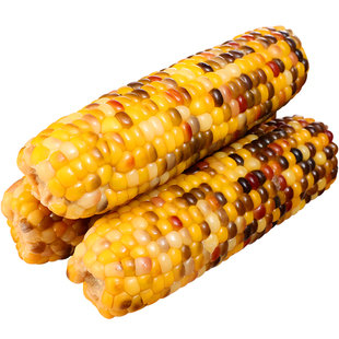 云南花糯玉米9斤新鲜水果甜生玉米棒子现摘整箱包邮10爆浆嫩玉米