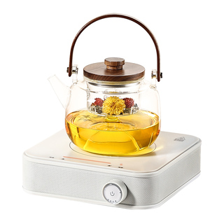 福也电陶炉茶炉家用小型玻璃壶煮茶烧水新款网红围炉煮茶器