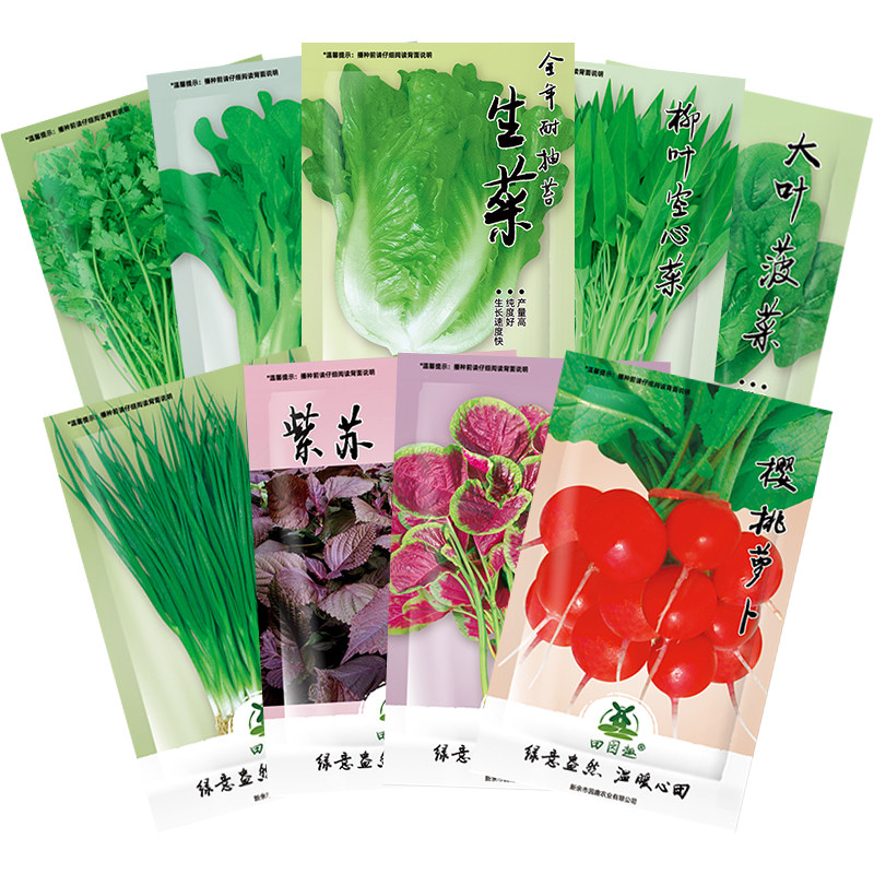 农家盆栽阳台番茄萝卜蔬菜种子