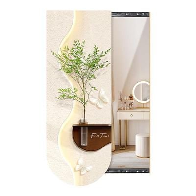 隐形推拉全身镜水培绿植