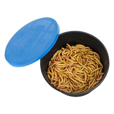 面包虫养殖箱盒装发货