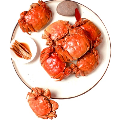 鲜活大闸蟹3.0两全母蟹