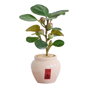 罗汉松迷你工位小盆栽微型盆景好养植物室内办公桌面绿植新年礼物