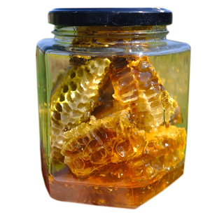 四川大凉山野生土蜂蜜山花1斤装应季 野坝子蜜纯正百花蜂巢冬蜜