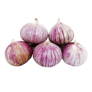 云南紫皮独头蒜9斤农家当季蔬菜独蒜头红珍珠大蒜湿蒜新干蒜包邮