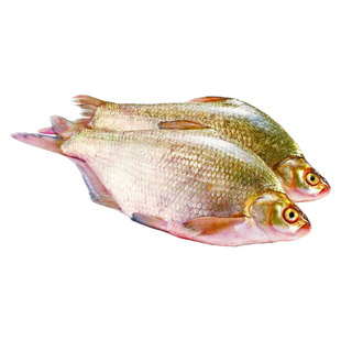 翘嘴昌鳊鱼鲳扁鱼边鱼团头鲂三角鲂比湖北武汉鄂州武昌鱼活鱼新鲜