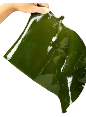 海带头新鲜5斤盐渍厚海白菜嫩