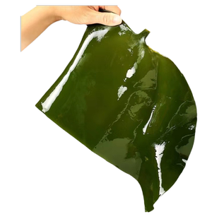 海带头新鲜5斤盐渍厚荣成昆布海带丝结片海带根荣成干货海白菜嫩