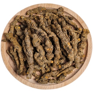 川黄连中药材单支川连雅连黄莲片根黄连粉非野生无硫无杂四川峨眉