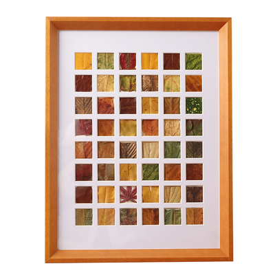 落叶相框48宫格树叶标本diy捡秋36宫格秋天格子叶子画框收集手工