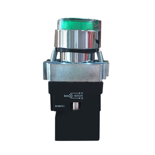 德力西带灯按钮LAY5sBW33M1绿红黄白色LED常开照明开关AC220V24V