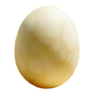 【工厂直发白壳】十三天新鲜活珠子凤凰蛋喜蛋五香香辣1-40枚