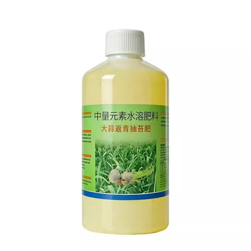 大蒜抽苔生根壮苗叶面肥