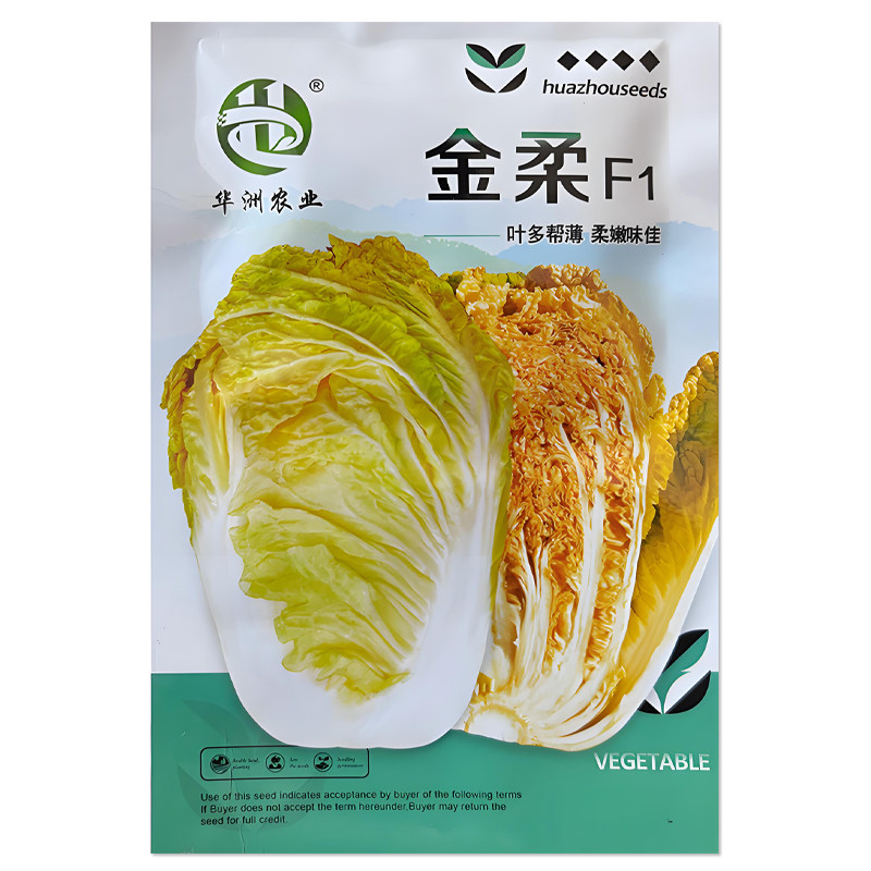 华洲金柔白菜种子橘黄心