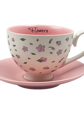 小清新碎花咖啡杯碟家用情侣闺蜜韩式陶瓷对杯礼盒装过节精致礼物