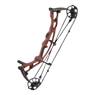 2026款Hoyt 霍伊特RX10复合弓 碳素高箭速滑竞技射箭弓箭美国进口