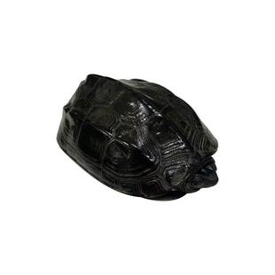 正宗国墨龟纯种全黑龙鼎墨龟中华黑腹特大长寿活体稀有宠物顶墨龟