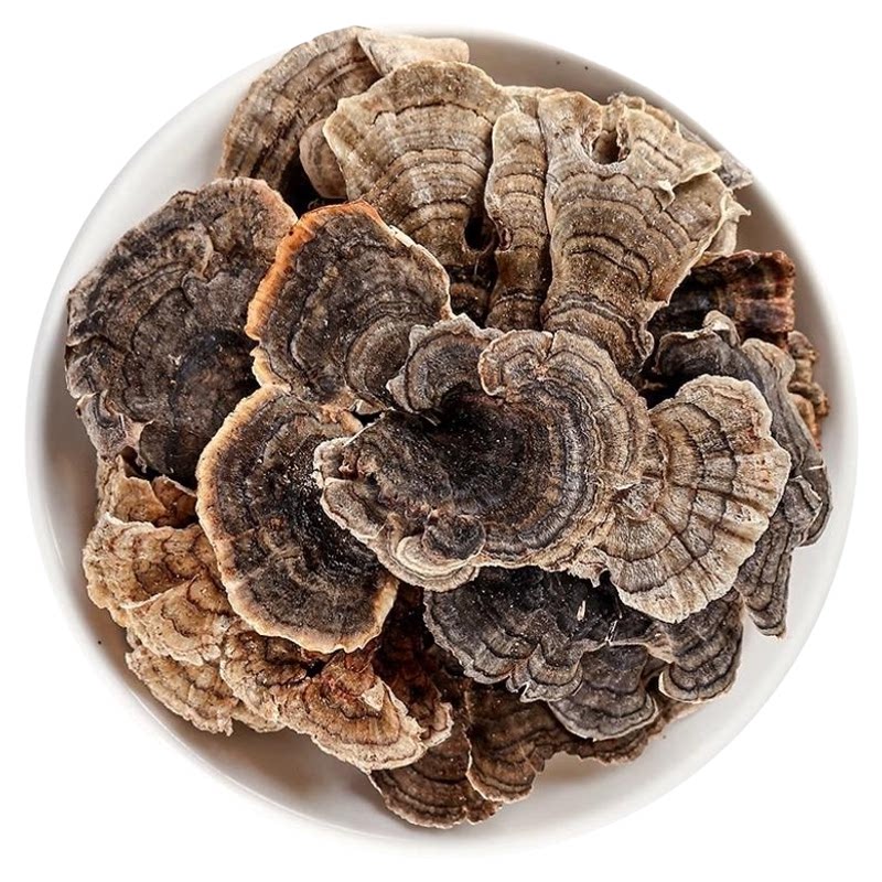 云芝中药材正品100g/250/500克官方旗舰店干品别名黄云芝菌云芝蘑