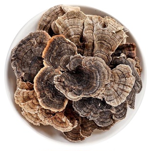 云芝中药材正品官方旗舰店长白山野生干品黄云芝菌云芝蘑可选磨粉