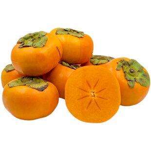 天狼 太秋甜柿盆栽苗 新手易养庭院花园地栽可食用果树