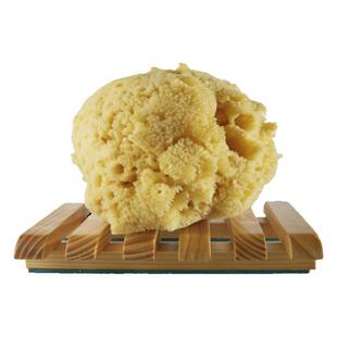 好物天天平价原装进口意大利Bellini天然海绵S品质给宝宝洗澡洗脸