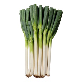 现货正宗山东铁杆大葱生吃脆大葱新鲜一级老品种蔬菜带皮去半叶