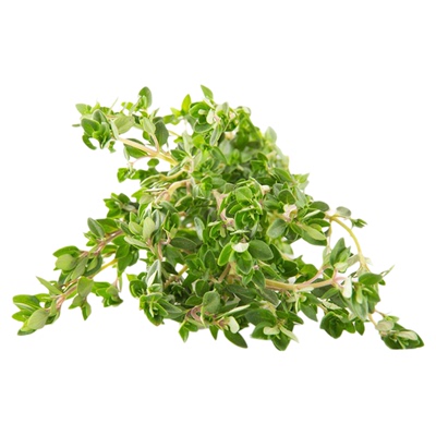 新鲜蔬菜香料麝香草山椒牛排香料
