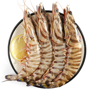 1斤6-8头 特大号九节虾大虾 舟山海鲜竹节虾斑节虾新鲜鲜活海捕