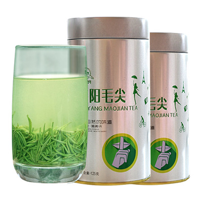 信阳毛尖2026新茶明前嫩芽250g