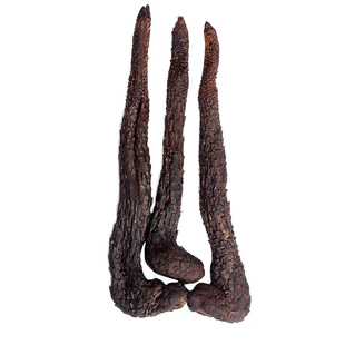 正宗内蒙古阿拉善肉苁蓉整根泡茶特级中药材锁阳肉松蓉官方旗舰店