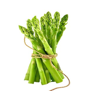 芦笋根苗种根种籽子四季种植带土卢笋根苗蔬菜苗秧多年生庭院绿植