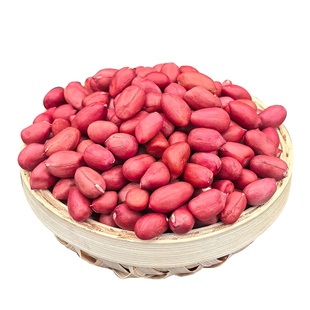 东北红衣生花生米400g黑龙江四粒红花生仁新鲜红皮不带壳生的新