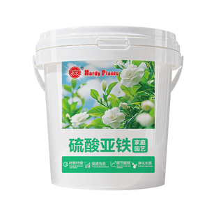 硫酸亚铁肥料花卉专用5斤 防黄叶土壤调酸性肥料栀子花绿植物通用