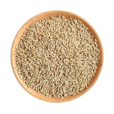 进口加纳利子鹦鹉鸟食玄凤虎皮牡