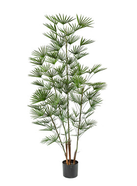 客厅轻奢绿植仿真金棕树