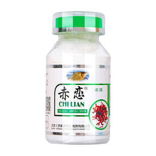 京威赤恋红虫伴侣浓腥味赤练红虫胶粘粉冬天野钓拉饵肉夹馍鱼饵料