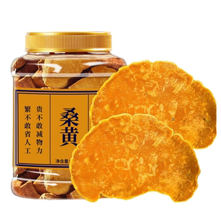 桑黄中药材茶干货正品小努桑树桑黄非西藏野生正宗灵芝泡水的功效