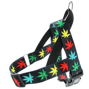 背心式狗狗牵引绳泰迪柯基金毛法斗中大型犬胸背带遛狗绳链子用品