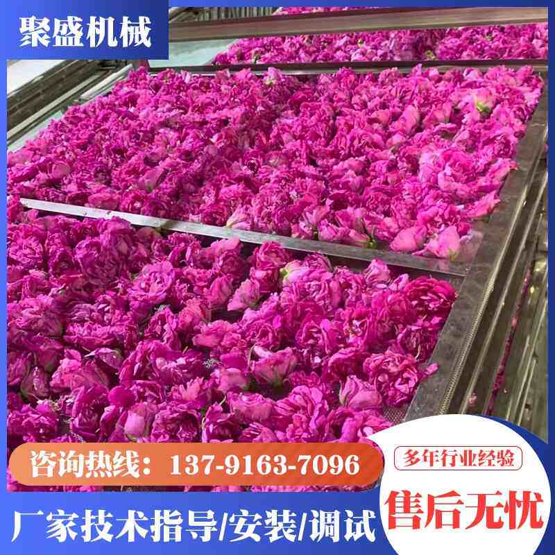 花瓣提取液烘干机玫瑰花卉干花烘干设备全自动智能控温鲜花烘干箱