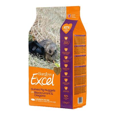 英国黑加仑豚鼠粮幼年饲料