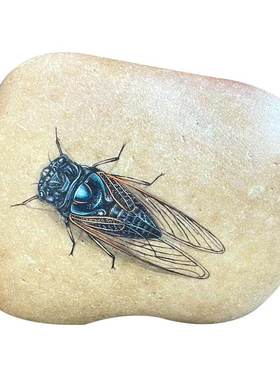 石头摆件中式书房纯手绘石头画