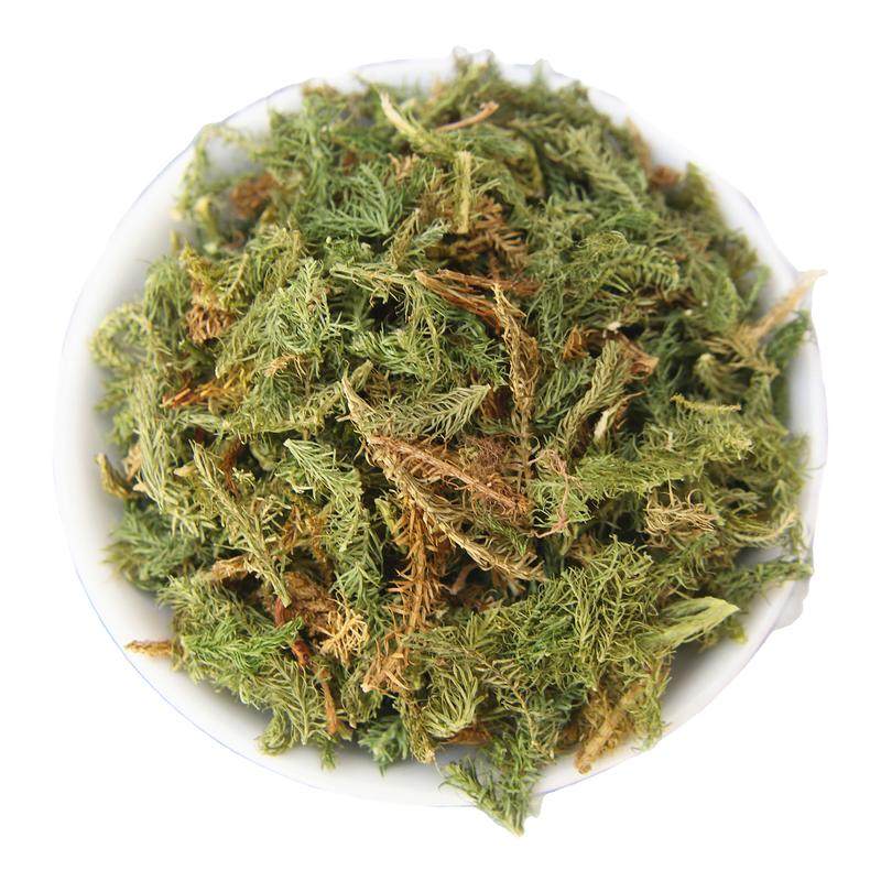 中药材新货 舒筋草大伸筋草伸筋草/石松/狮子草/舒筋草 500克包邮