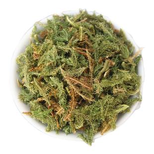 中药材新货 舒筋草大伸筋草伸筋草/石松/狮子草/舒筋草 500克包邮