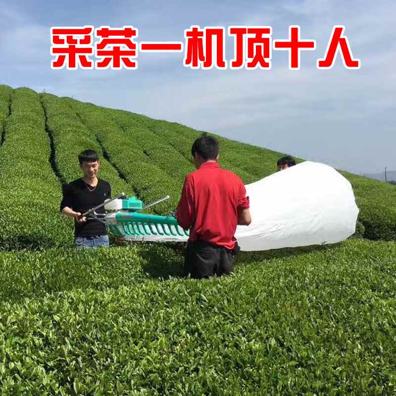 蒙驰单双人采茶机汽油便携往复式吹风绿篱机采茶神器修剪茶叶绿篱