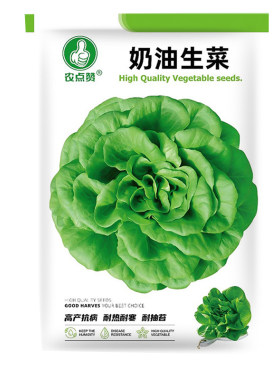 叶菜种子娃娃菜青菜种子优质