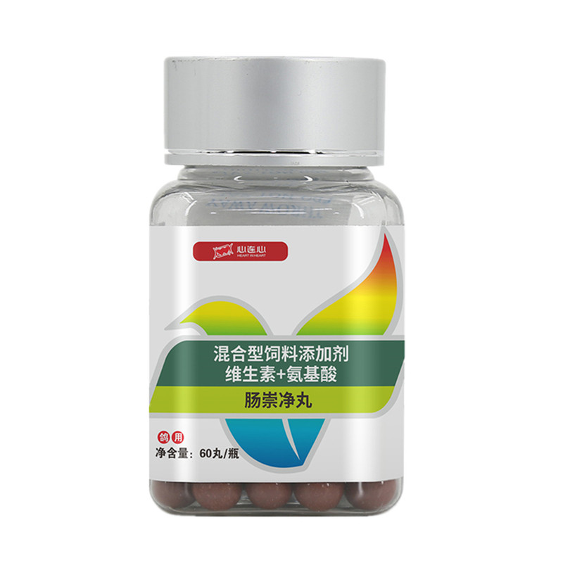 心连心肠崇净丸幼种赛鸽肠道调理