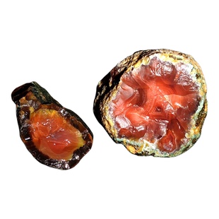 南红玛瑙原石天然玉髓南红原石头南红雕件料南红原料南非南红原矿