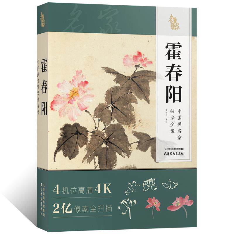 中国画名家技法全集 霍春阳写意水墨花鸟画临摹技法国画初学者零基础入门教材书籍临摹画稿 没骨花鸟画自学临摹素材绘画教学附视频