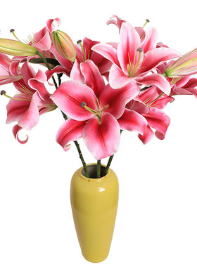 香水百合花鲜花云南基地直发